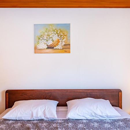 Apartment Sea And Mountain With Pool Novigrad  Екстериор снимка
